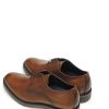 Hombre FLUCHOS | Zapatos Blucher Fluchos F1867 Piel Camel